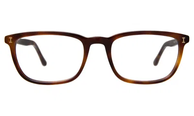 ILLESTEVA ALBANY OPTICAL