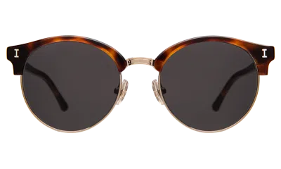 ILLESTEVA BENSON SUNGLASSES