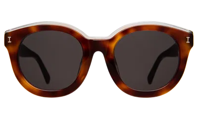 ILLESTEVA ECHO PARK SUNGLASSES
