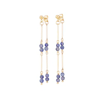 INARI JEWELLERY WOMEN'S GOLD / GREY BAMBOO VINE EARRINGS IOLITE