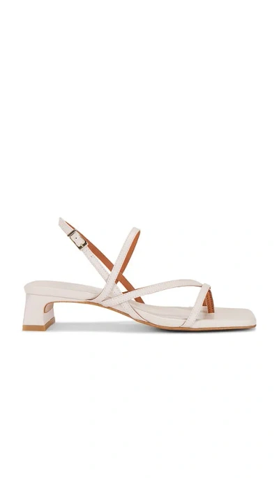 INTENTIONALLY BLANK PUP SANDAL
