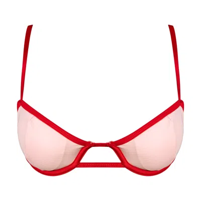 IVY SWIMWEAR WOMEN'S PINK / RED BROOKE IN PINK TOP