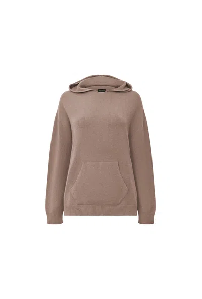 JAMES LAKELAND WOMEN'S BROWN HOODED TAUPE JUMPER