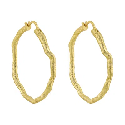 JANUS EDINBURGH WOMEN'S CAIRN GORM GOLD VERMEIL STERLING SILVER HOOP HAMMERED EARRINGS