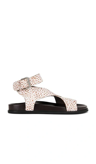 JEFFREY CAMPBELL HVAR SANDALS