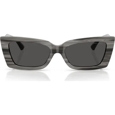 JIMMY CHOO JIMMY CHOO 54MM CAT EYE SUNGLASSES