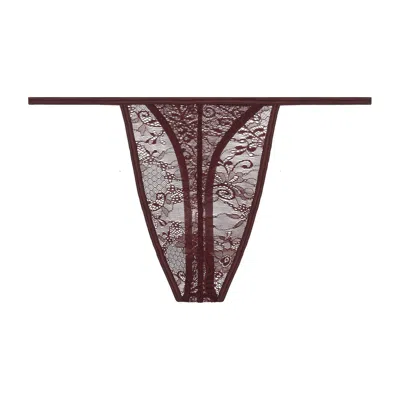 JOURNELLE BROWN SAPNA MENS THONG CHOCOLAT