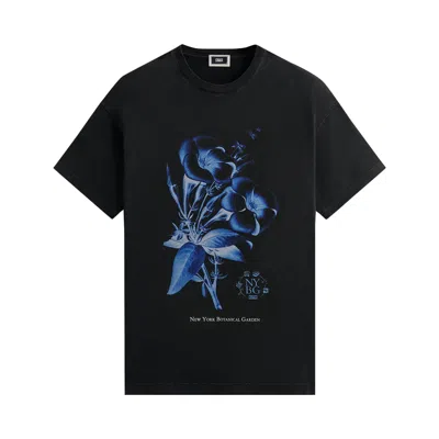 KITH KITH X NEW YORK BOTANICAL GARDEN ALLAMENDA VINTAGE TEE 'BLACK'