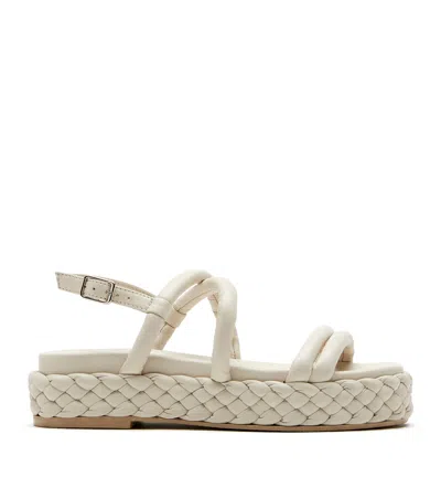 LA CANADIENNE ?VARIANT=43320326193289&COUNTRY=CA