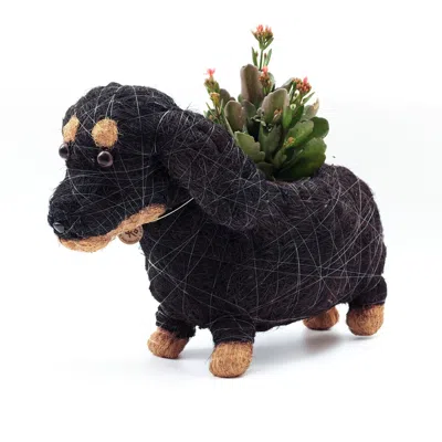 LIKHA BLACK DACHSHUND ANIMAL PLANTER - NATURAL COCO COIR POT
