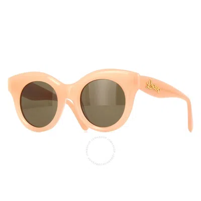 LOEWE LOEWE BROWN CAT EYE LADIES SUNGLASSES LW40126F 72E 50