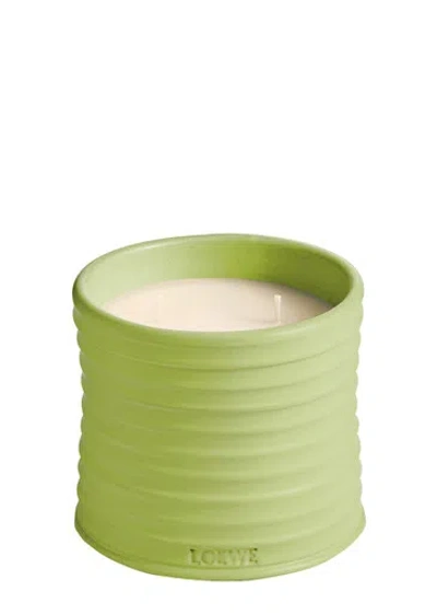 LOEWE LOEWE CUCUMBER CANDLE