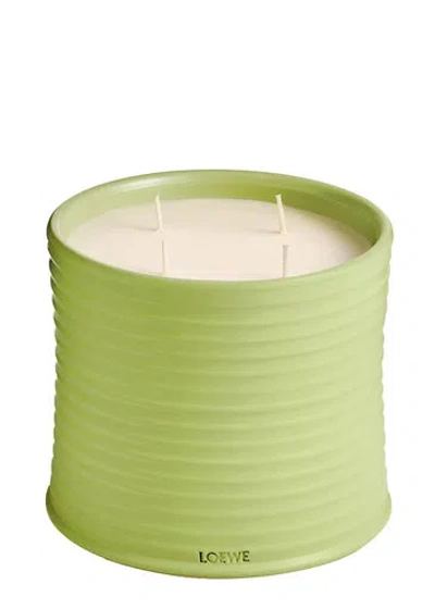 LOEWE LOEWE CUCUMBER CANDLE