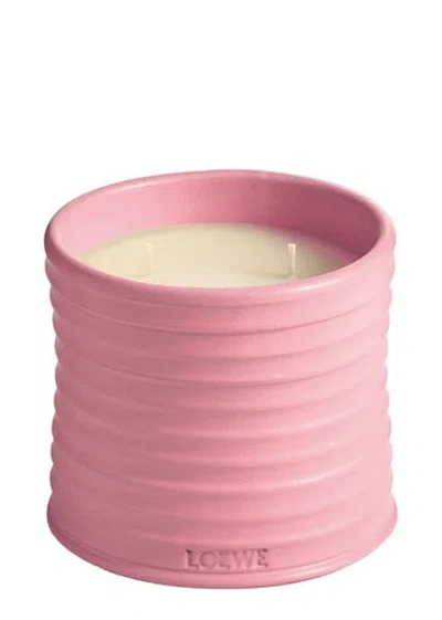 LOEWE LOEWE IVY CANDLE