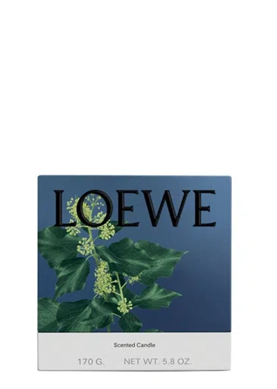 LOEWE LOEWE IVY CANDLE
