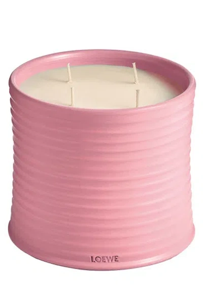 LOEWE LOEWE IVY CANDLE