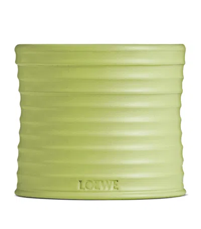 LOEWE MEDIUM CUCUMBER SCENTED CANDLE