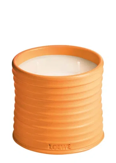 LOEWE LOEWE ORANGE BLOSSOM CANDLE