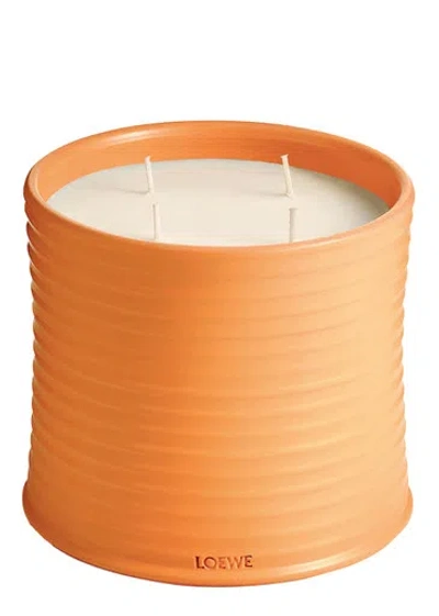 LOEWE LOEWE ORANGE BLOSSOM CANDLE