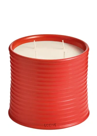 LOEWE LOEWE TOMATO LEAVES CANDLE