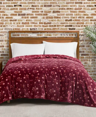 LUCKY BRAND DAISY FLORAL COZY PLUSH BLANKET, TWIN/TWIN XL