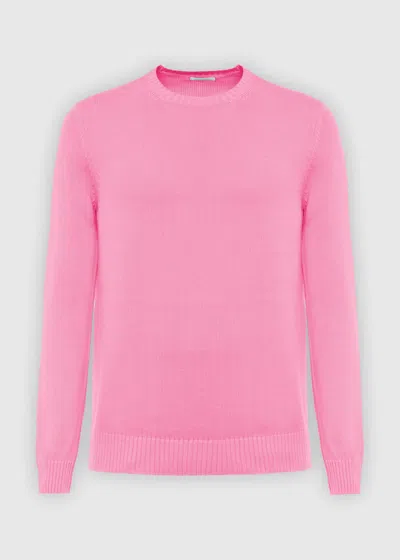 MALO MAGLIA GIROCOLLO IN COTONE