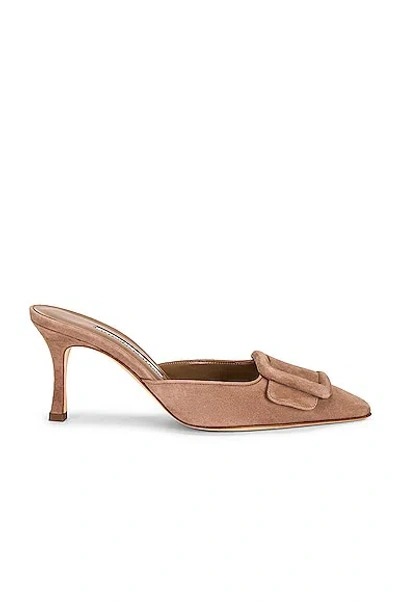 MANOLO BLAHNIK MAYSALE 70 SUEDE MULE