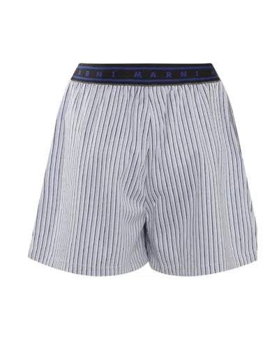 MARNI MARNI STRIPED LOGO WAIST SHORTS