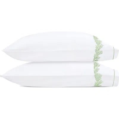 MATOUK MATOUK ATOLL SET OF 2 PILLOWCASES