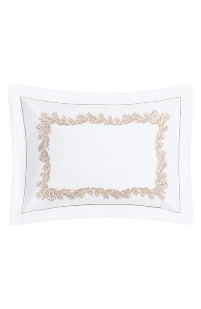 MATOUK MATOUK ATOLL SHAM