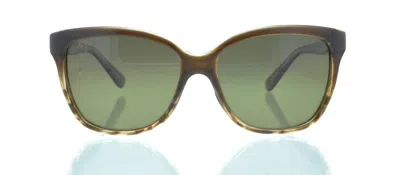 MAUI JIM MAUI JIM STARFISH TRANSLUCENT SCHOKO M. SCHILDPATT (HS744-01T)