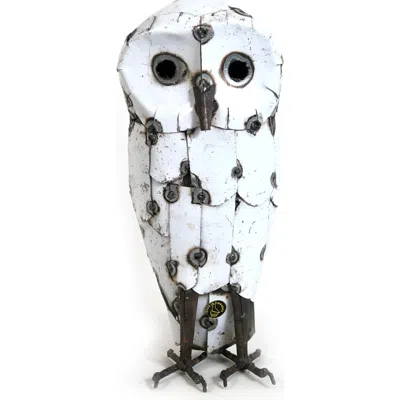 MBARE MBARE SNOWY WHITE OWLS