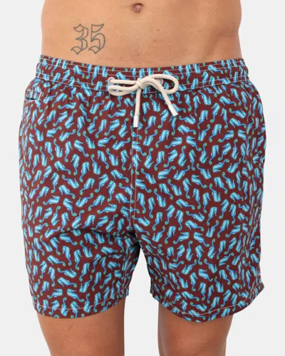 MC2 SAINT BARTH LIGHT AND STRETCH SWIMSHORT - SEAHORSE DANCE 18
