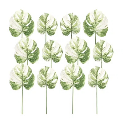 MELROSE INTERNATIONAL LIGHT VARIEGATED PHILO LEAF STEM (SET OF 12) - GREEN, WHITE