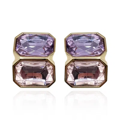 MICHAEL NASH JEWELRY WOMEN'S PINK LIGHT AMETHYST AND LIGHT ROSE DOUBLE STONE CLIP EARRINGS