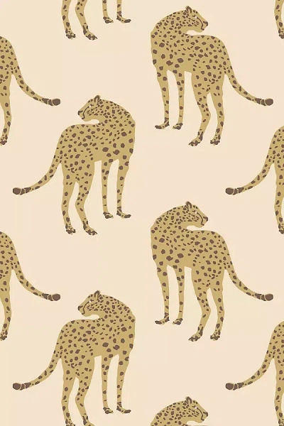 MITCHELL BLACK PROWLING CHEETAH ANIMAL WALLPAPER