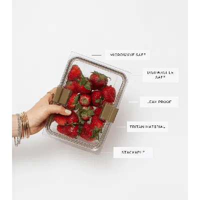 MODERN PICNIC MODERN PICNIC THE FOOD CONTAINER