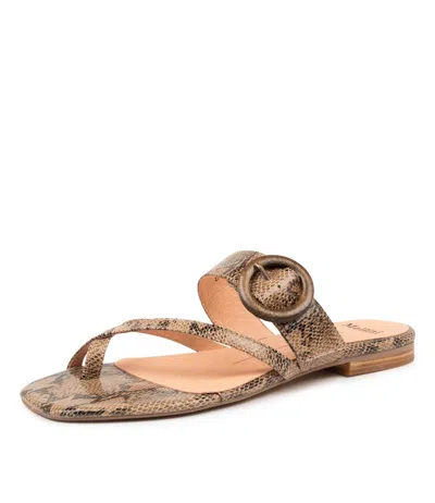 MOLLINI MOLLINI ANNALEE DK TAN LEATHER WOMENS SHOES CASUAL SANDALS SANDALS FLAT