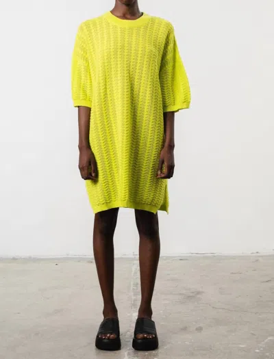 MR MITTENS BELLA LACE SHIRT DRESS IN LIME