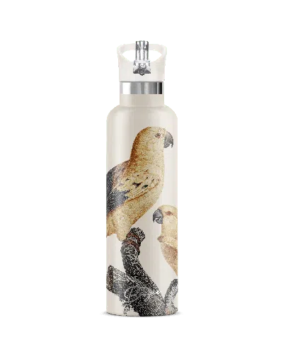MY BOUGIE BOTTLE NEUTRALS PERICO SUN PARAKEET INSULATED WATER BOTTLE CREAM LID