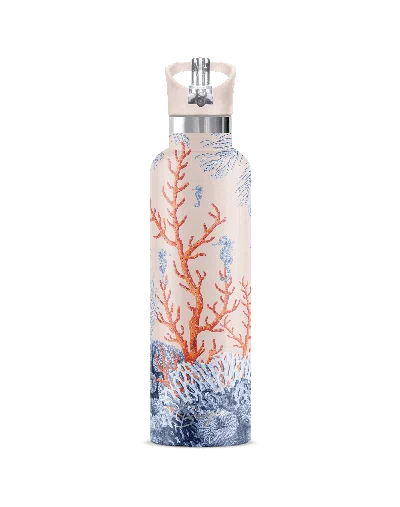 MY BOUGIE BOTTLE ORANGE DEL MAR VINTAGE SEAHORSE INSULATED WATER BOTTLE
