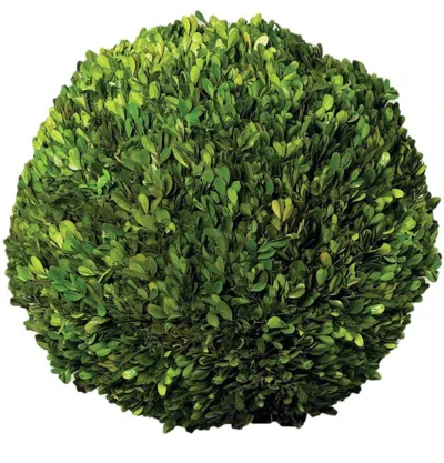 NAPA HOME & GARDEN PRESERVED BOXWOOD BALL, 16-INCH