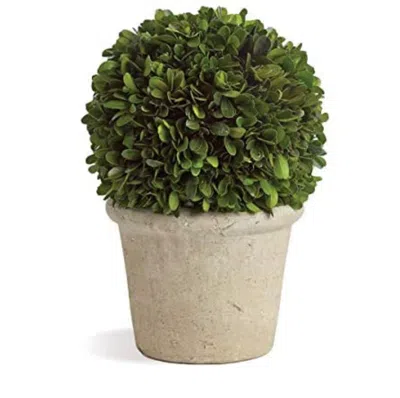 NAPA HOME & GARDEN PRESERVED BOXWOOD BALL IN GREY POT, 8-INCH