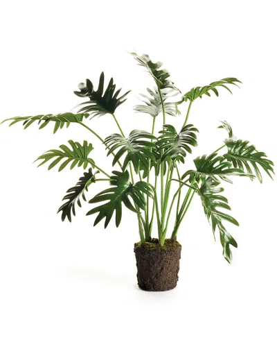 NAPA HOME & GARDEN NAPA HOME & GARDEN SPLIT LEAF SELLOUM DROP-IN