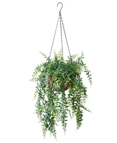 NATIONAL TREE COMPANY 21 FERN LEAVES HANGING BASKET