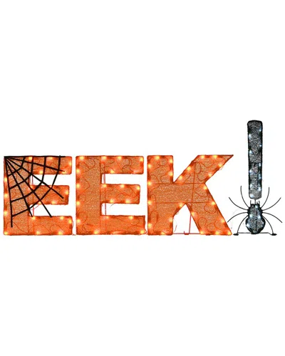 NATIONAL TREE COMPANY NATIONAL TREE COMPANY 50IN PRE-LIT HALLOWEEN EEK DECORATION