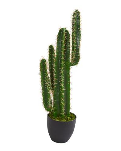 NEARLY NATURAL NEARLY NATURAL 3 CACTUS ARTIFICIAL PLANTS