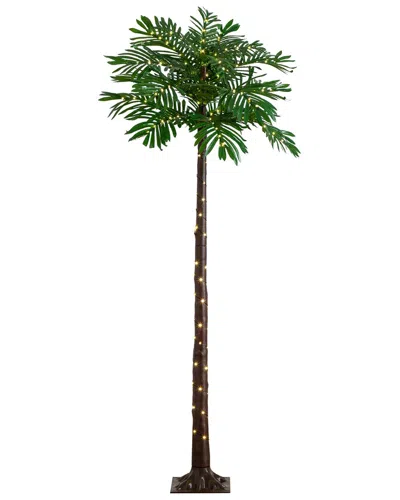 NEARLY NATURAL NEARLY NATURAL 6FT UV-RESISTANT LIGHTED ARTIFICIAL PALM TREE WITH 206 WARM  WHITE LED LIGHTS (INDOOR