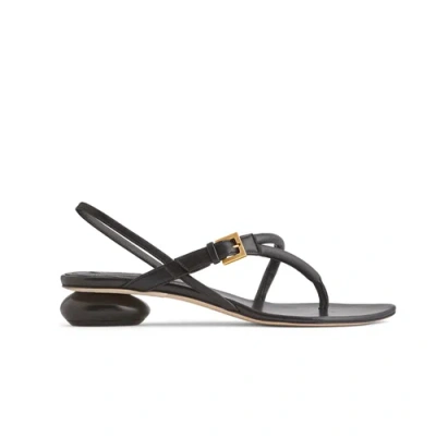 NEIL J. RODGERS NEIL J. RODGERS EDDIE SANDAL