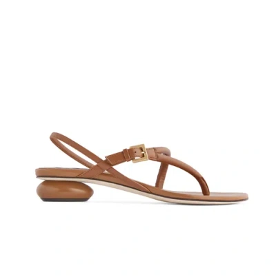 NEIL J. RODGERS NEIL J. RODGERS EDDIE SANDAL